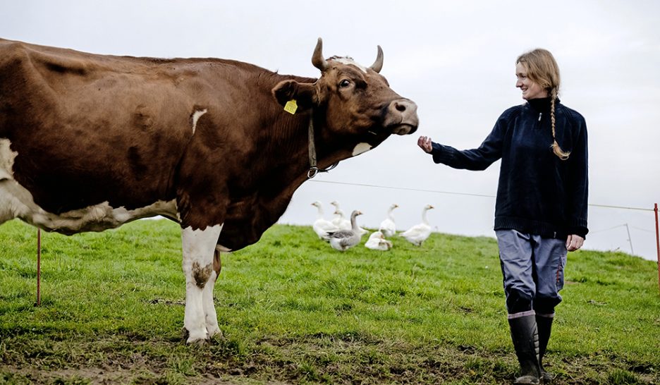 «Une plus-value équitable»