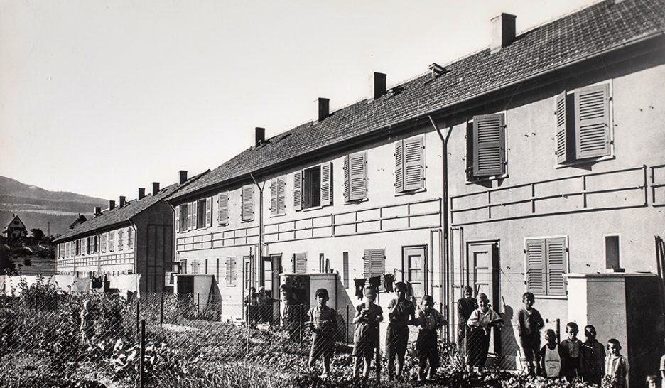 Le début des cages à lapins