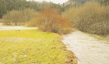 La nature prise en otage au Locle