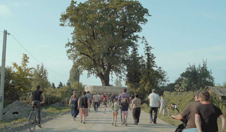 L'adieu aux arbres