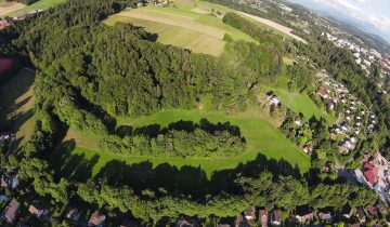 Les arbres montains devant le peuple