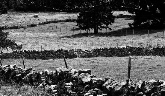 Un pavé sur les pierres sèches