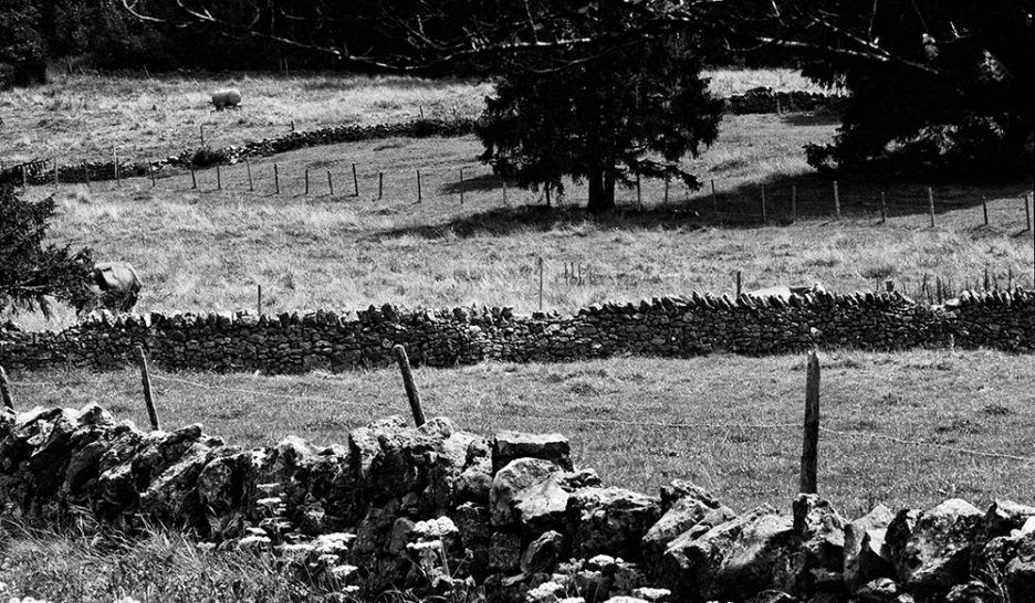 Un pavé sur les pierres sèches