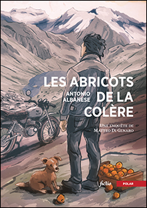 L’art du polar frelaté