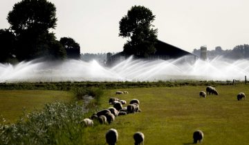 les agriculteurs néerlandais au pied du mur