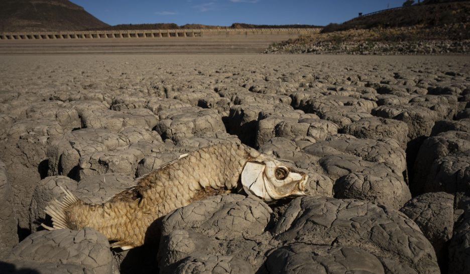 Plus de 90% des pays menacés d'années très chaudes à répétition