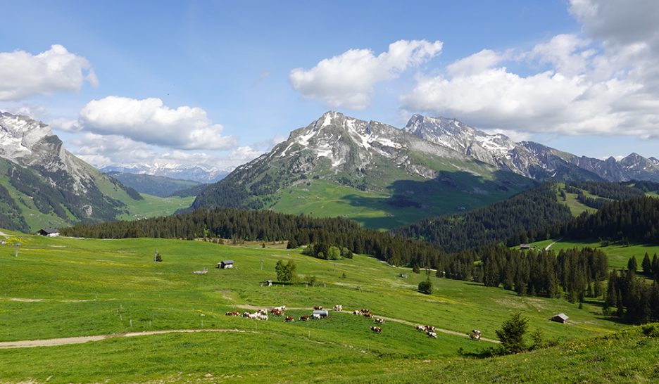 Quand la ZAD gagne la montagne