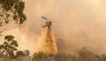 Alarme sur les feux géants