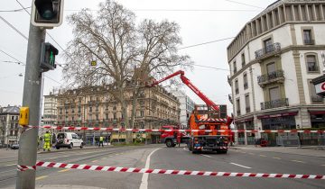 L’avenue du Mail végétalisée