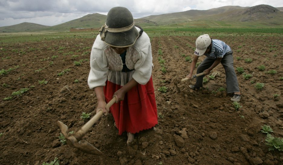 Les peuples autochtones, victimes et atout