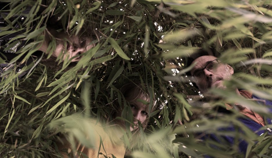 Des herbes très sauvages