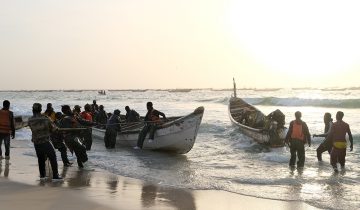 Coulés par la pêche industrielle