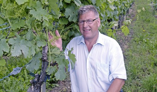 Face à Bayer, ils ne lâchent rien