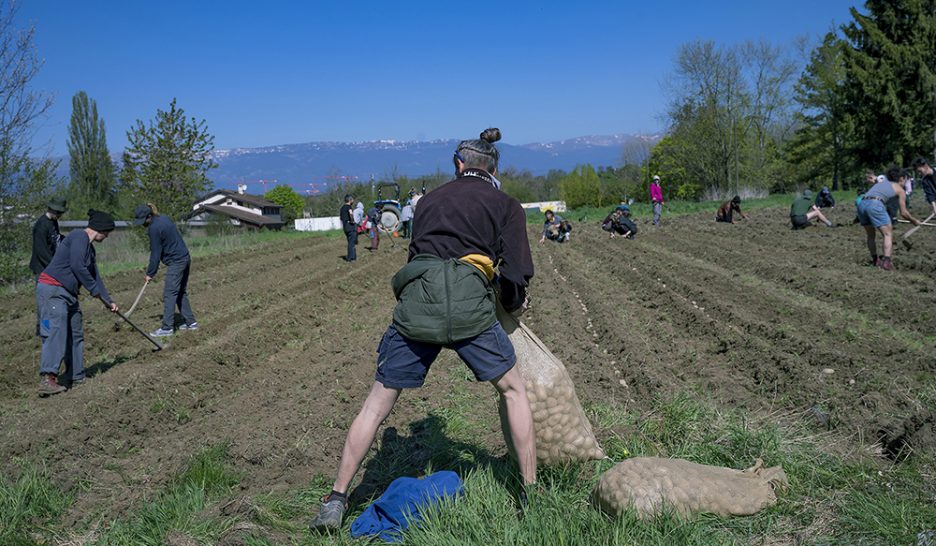 La résistance paysanne continue
