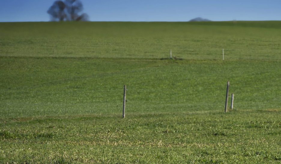 Le sol, capteur de CO2
