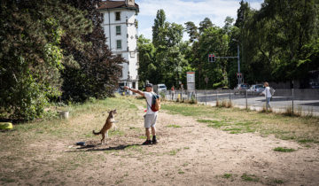 A Montbrillant, le skatepark patine 1