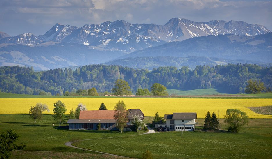 Le prix de l’huile devrait flamber