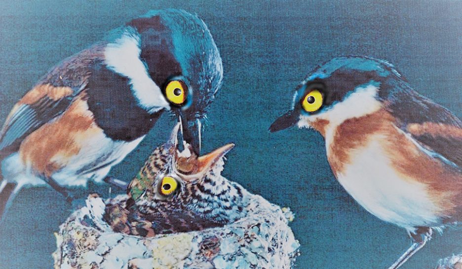 L’histoire d’infiltration d’Attac