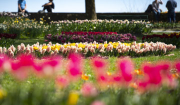 Morges refuse l’impôt climatique