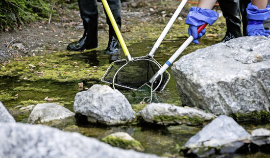 Il y a urgence pour les poissons