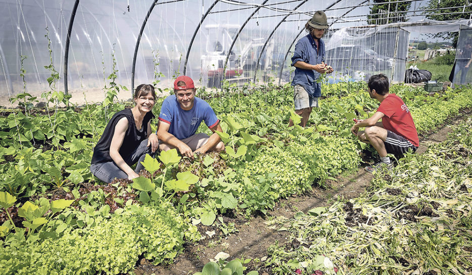 Sol vivant pour des légumes à foison