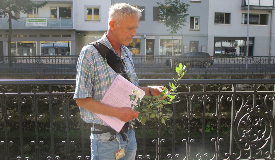 L’automne avant l’heure