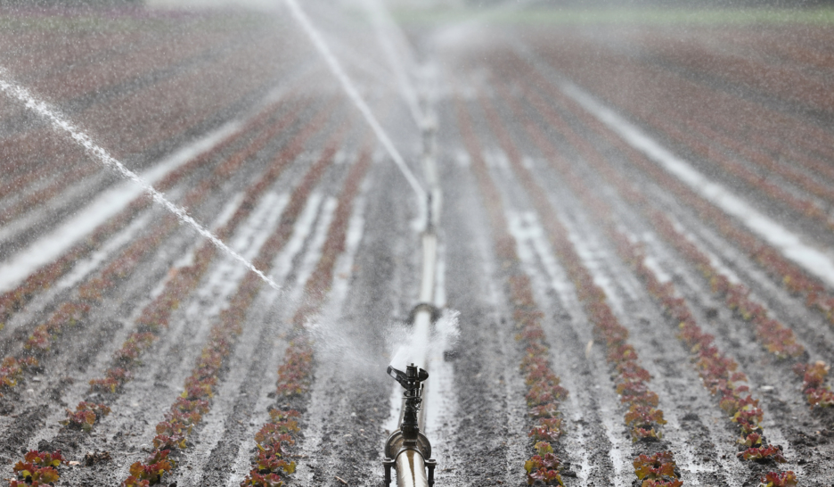 L’été extrême aura des conséquences