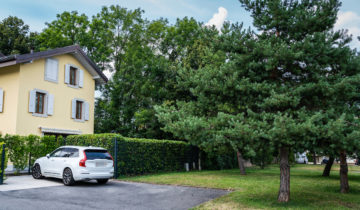 La moitié des arbres sauvés à Cressy-Confignon