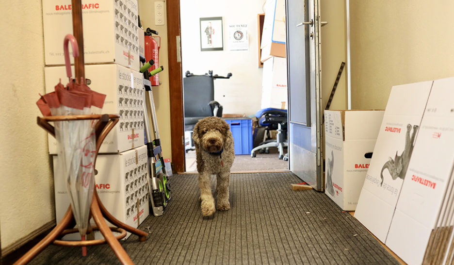 Nos anciens bureaux…  LVT