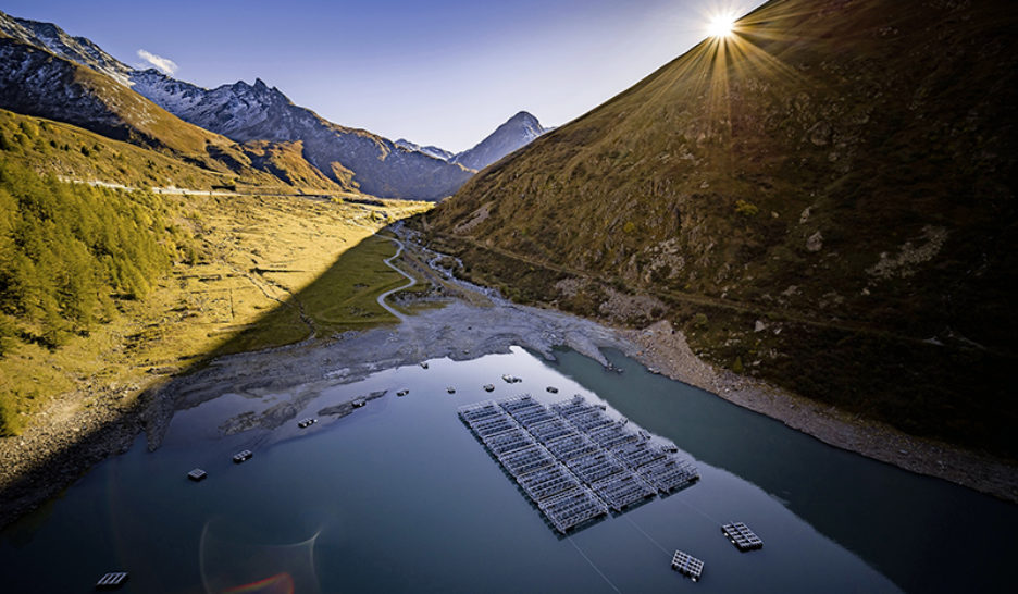 Alliance pour vitaminer le solaire