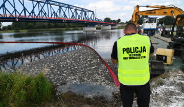 L'Oder, un fleuve sauvage en péril