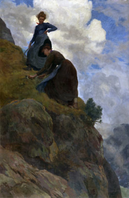 Points de vues sur les cimes