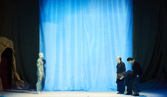 Drôles d’oiseaux de bon augure