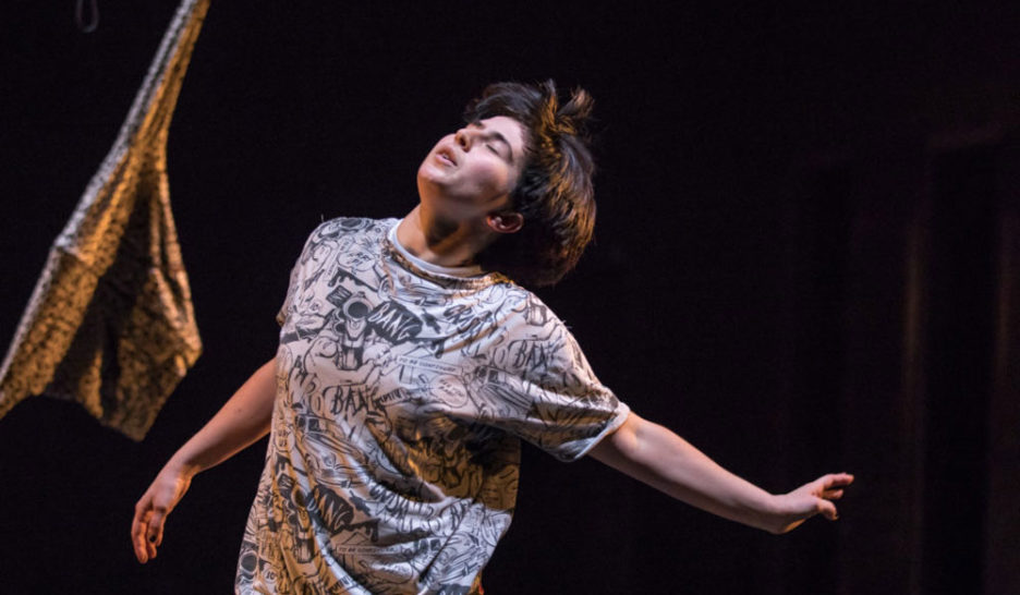 Emergentia, premiers pas