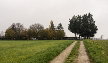 L’axe des Abarois met Bernex en émoi