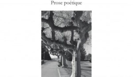 Le poète, c’est l’un et l’autre