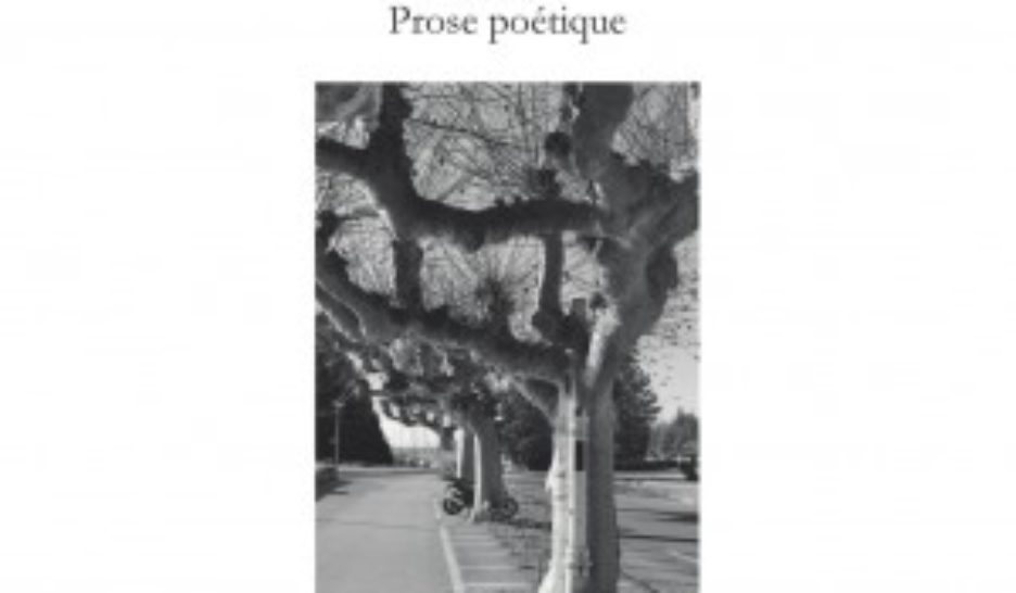 Le poète, c’est l’un et l’autre