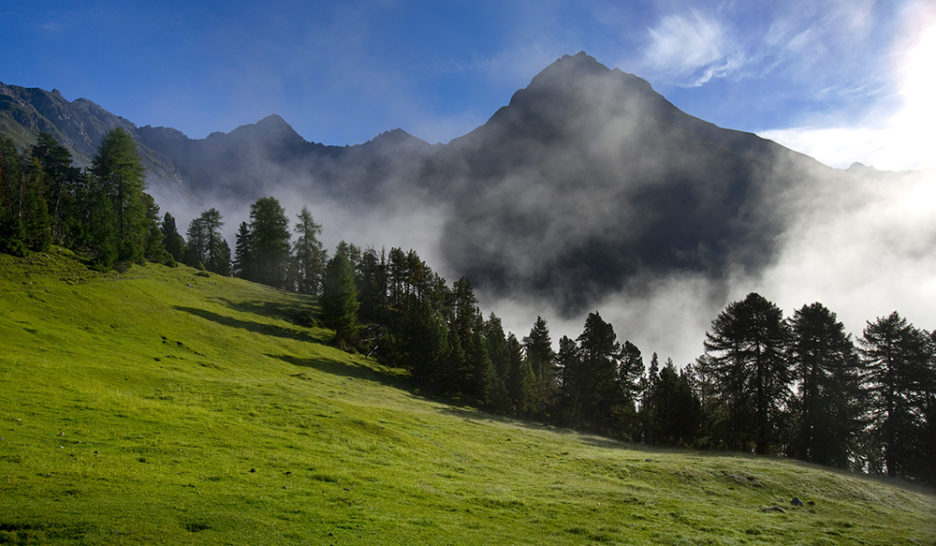 Le poison de l’histoire