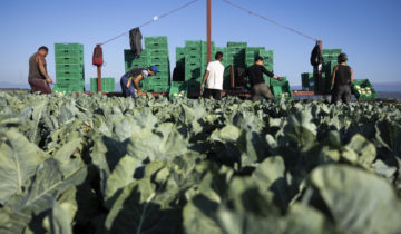 Réconcilier l’agriculture et l’écologie