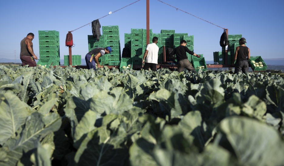 Réconcilier l’agriculture et l’écologie