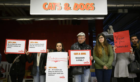Salaires non versés à Cats & Dogs 1
