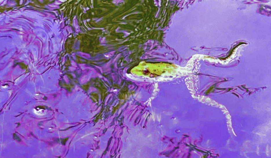 Brasse en eaux féministes