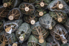 Ne rien lâcher, ne rien céder: l’avenir est à ce prix