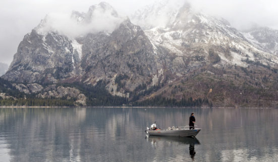 Des polluants «éternels» dans les poissons