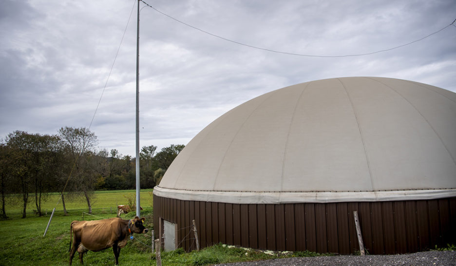 Du gaz vert et local