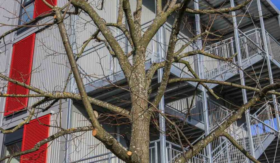 Foyer de l’Etoile: sécu acquitté