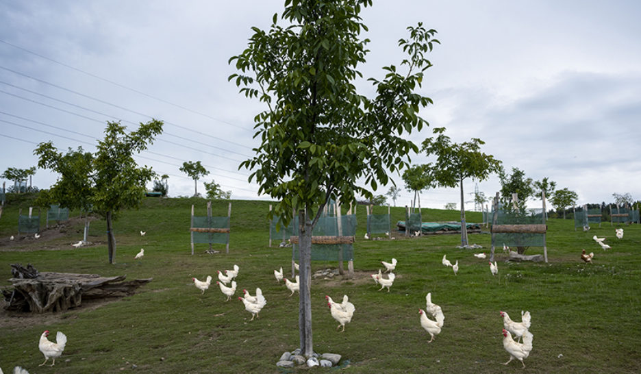 Le lobby de l’agriculture sous pression