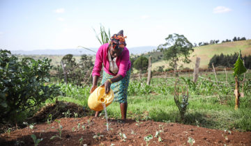 L’agroécologie, solidaire et salutaire 15