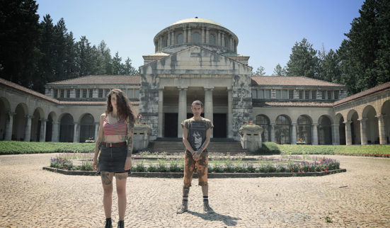 Subversion analogique