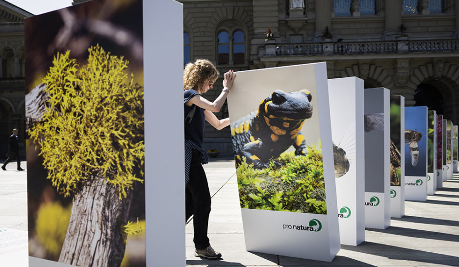 Biodiversité en péril